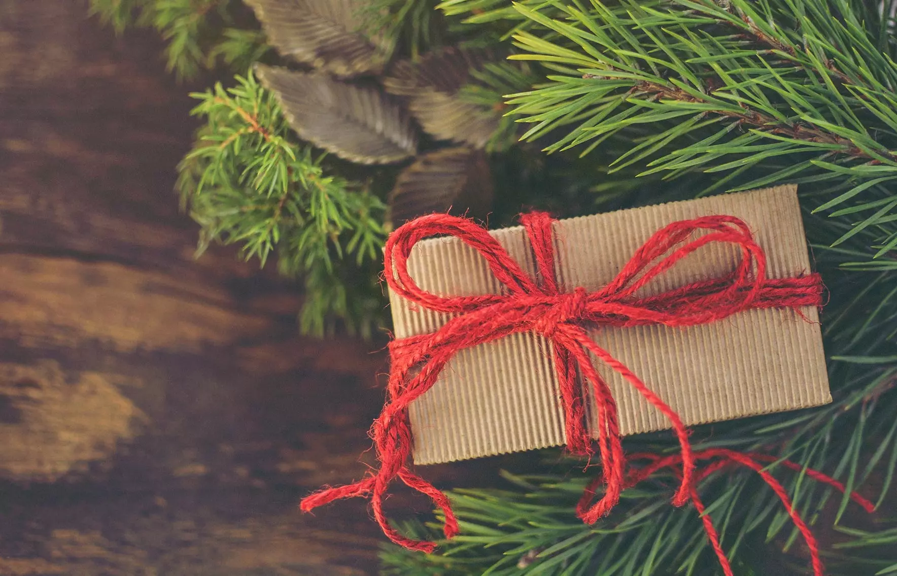 nachhaltig verpacktes Weihnachtspackerl unterm Nadelbaum